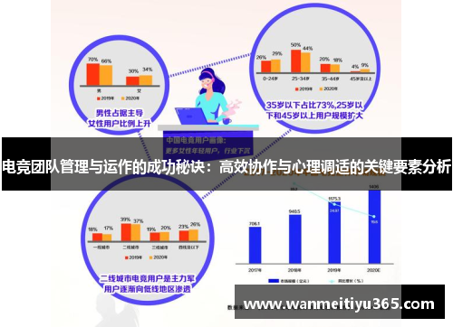 电竞团队管理与运作的成功秘诀：高效协作与心理调适的关键要素分析